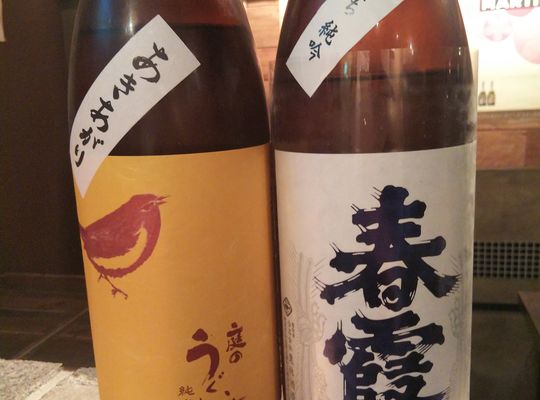 庭のうぐいす   春霞